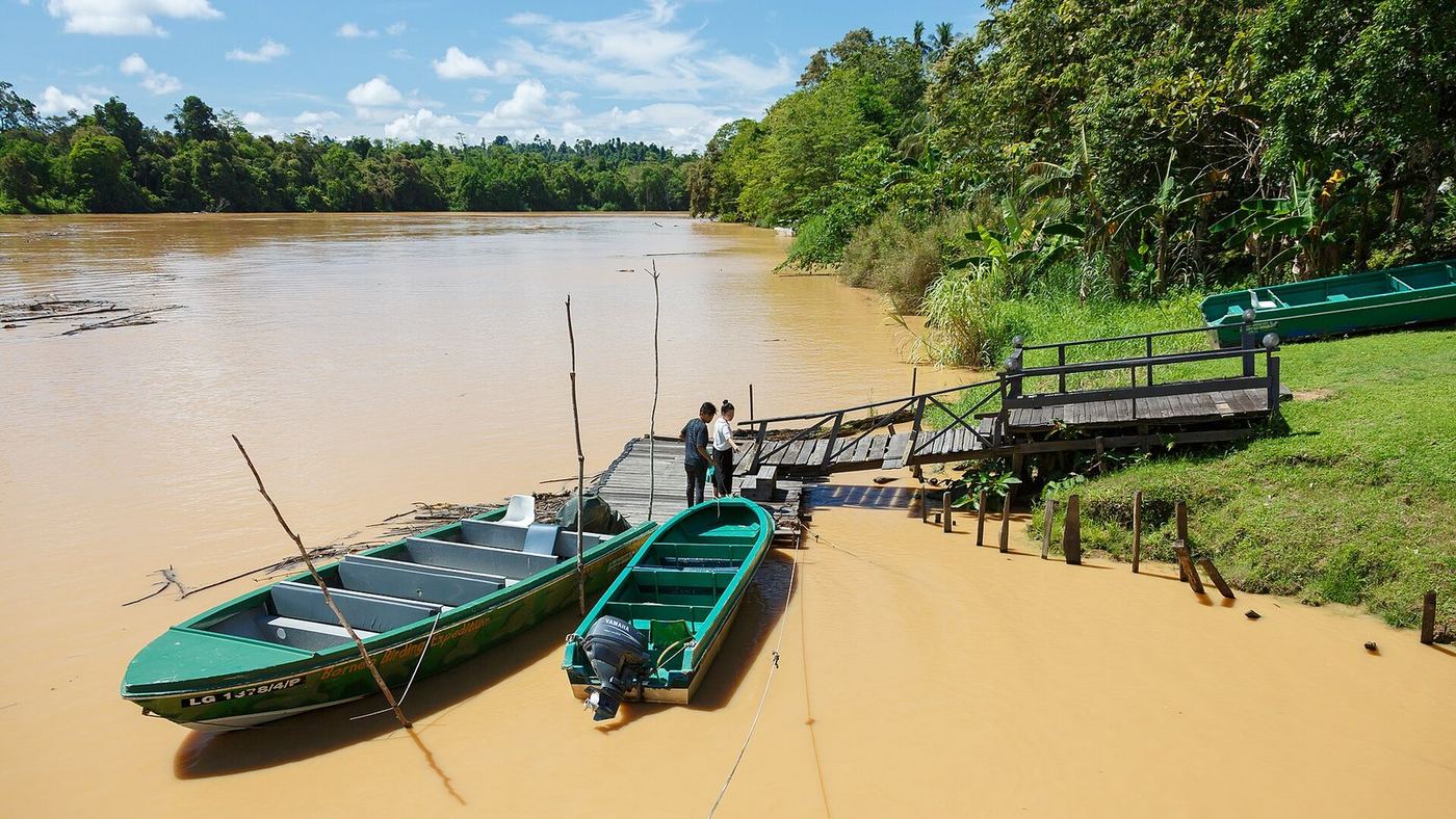 Borneo and Sabah, 9 days