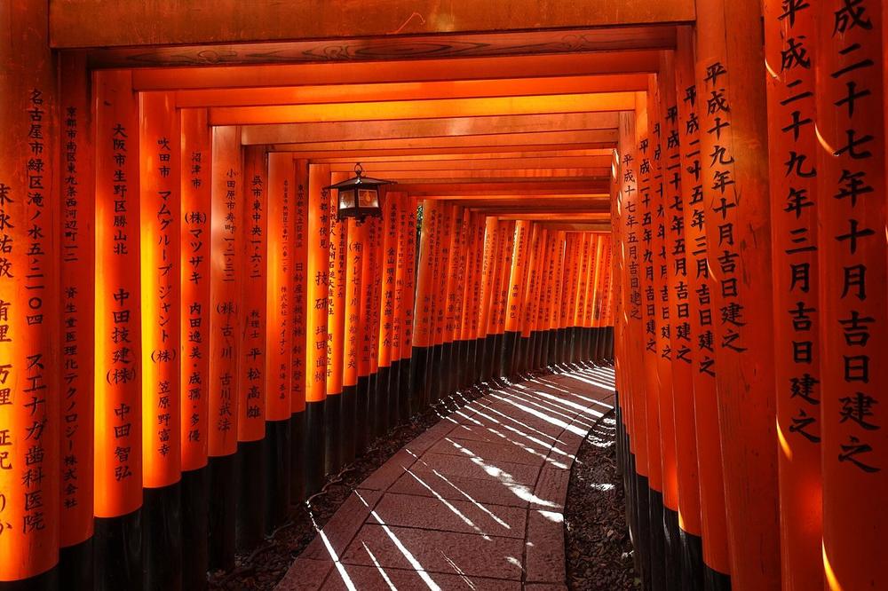 Vermilion torii gates on the hillside path at Fushimi Inari Vermilion torii gates on the hillside path at Fushimi Inari