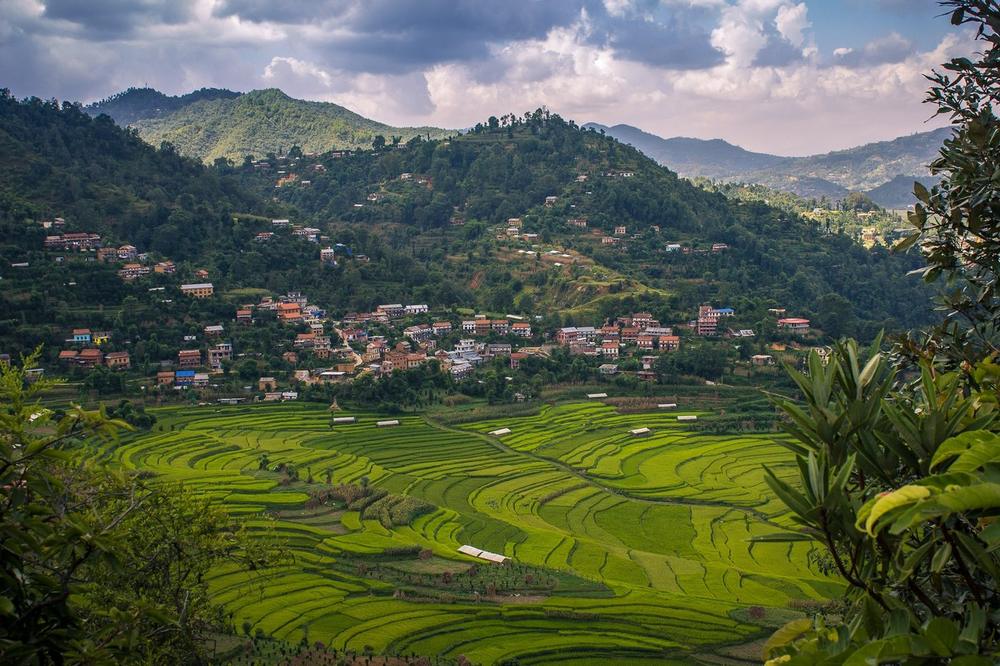 A stone-stepped path through village terraces near Dhampus A stone-stepped path through village terraces near Dhampus