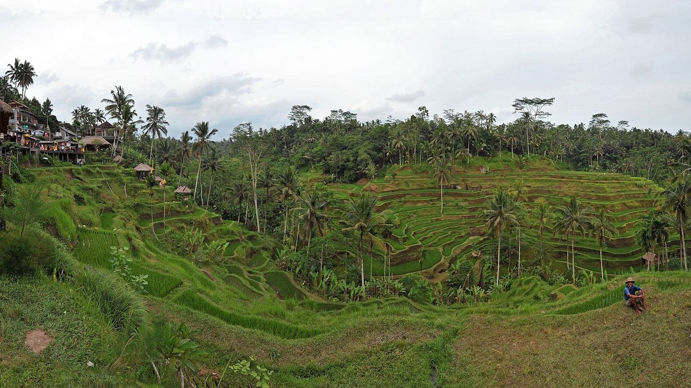 Ubud and Bali