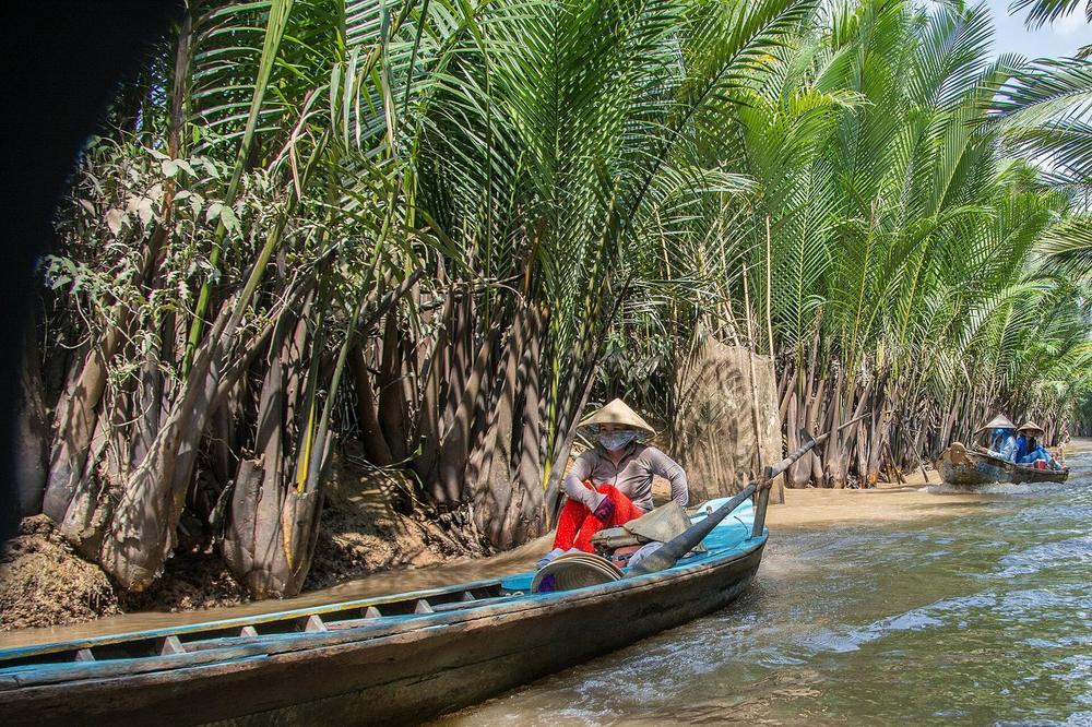 A narrow canal under water coconut palms in the Mekong Delta A narrow canal under water coconut palms in the Mekong Delta